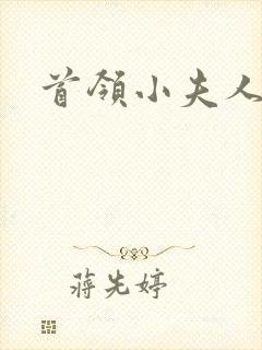 首领小夫人