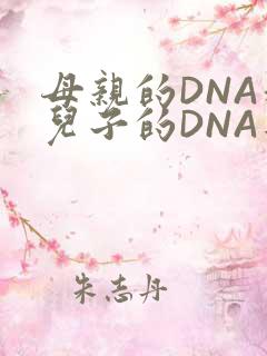 母亲的DNA和儿子的DNA是一样的吗