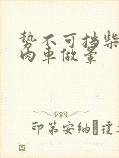 势不可挡柴鸡蛋肉车做晕