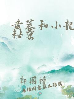 黄蓉和小龙女的秘密