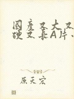 国产又大又粗又硬又长A片小说