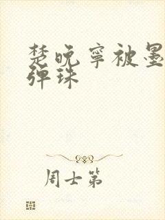 楚晚宁被墨燃塞弹珠