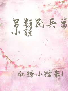 另类民兵葛二蛋小说