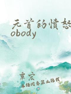 元首的愤怒之nobody