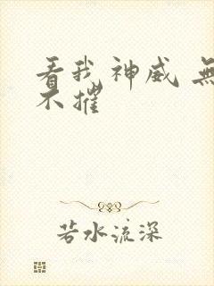 看我神威 无坚不摧