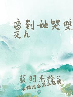 脔到她哭双根宫交h