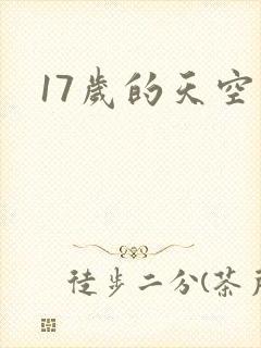 17岁的天空