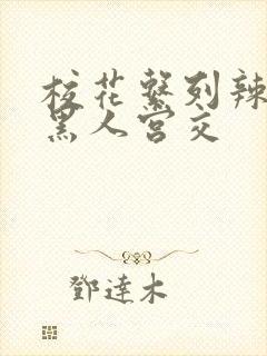 校花系列辣h文黑人宫交