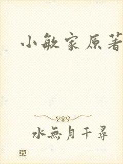 小敏家原著小说