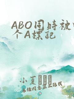 ABO同时被四个A标记