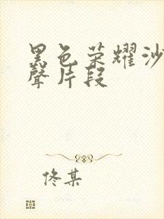 黑色荣耀沙发原声片段