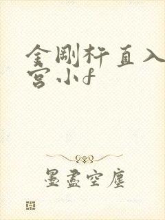 金刚杵直入莲花宫小f