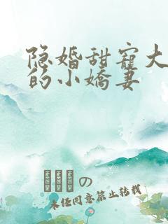 隐婚甜宠大财阀的小娇妻