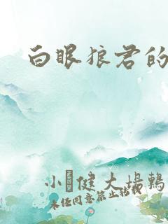 白眼狼君的小说