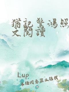 犹记惊鸿照影全文阅读