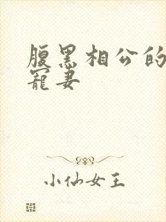 腹黑相公的庶女宠妻