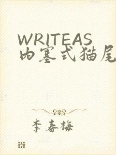 WRITEAS内塞式猫尾