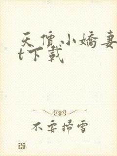 天价小娇妻txt下载