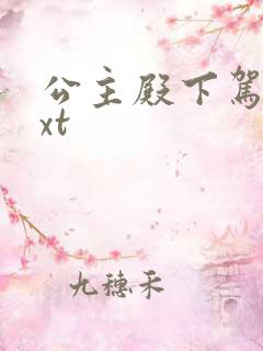 公主殿下驾到txt