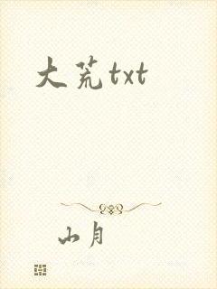 大荒txt