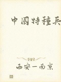 中国特种兵小说