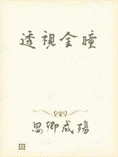透视金瞳