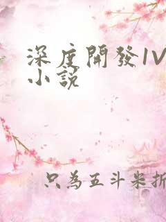 深度开发1V3小说
