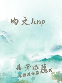 肉文hnp