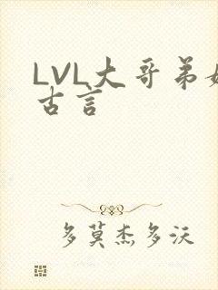 LVL大哥弟媳古言