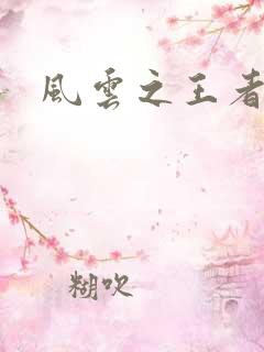 风云之王者人生