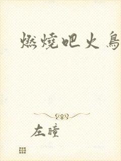 燃烧吧火鸟小说