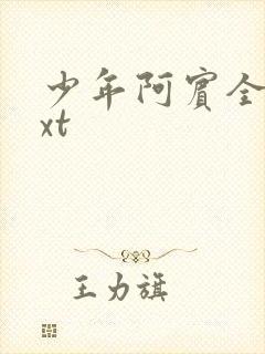 少年阿宾全集txt