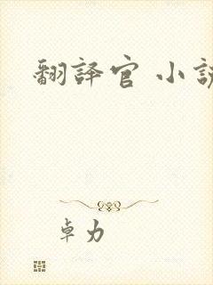 翻译官 小说