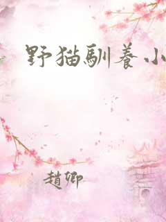 野猫驯养小说
