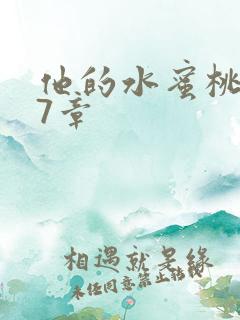 他的水蜜桃第27章