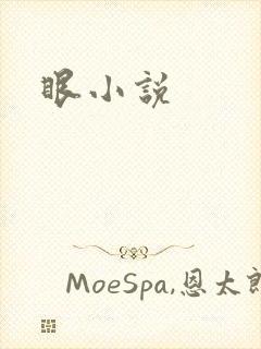 眼小说