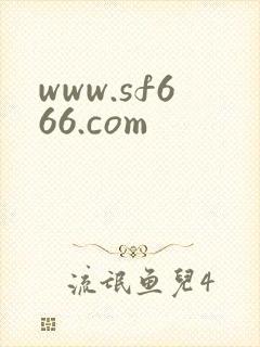 www.sf666.com
