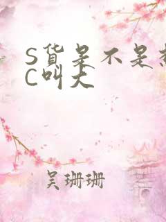 S货是不是想挨C叫大