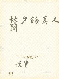 林夕的真人娃娃间