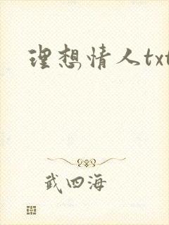 理想情人txt