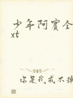 少年阿宾全集txt