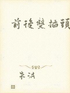 前后双插头互攻