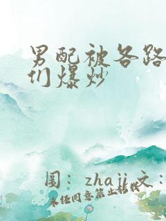 男配被各路大佬们爆炒