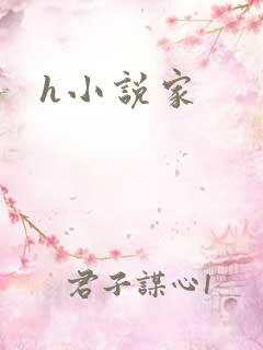 h小说家