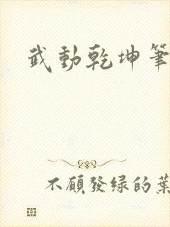 武动乾坤笔下