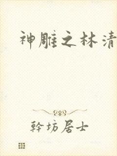 神雕之林清传