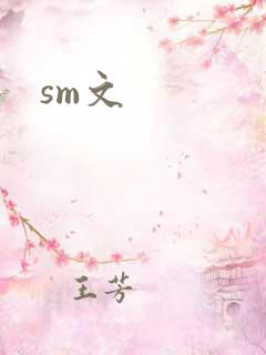 sm文