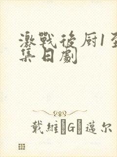 激战后厨1至5集日剧