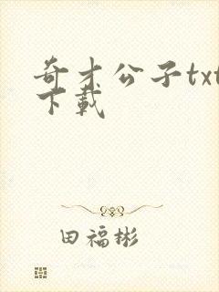 奇才公子txt下载