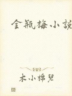 金瓶梅小说